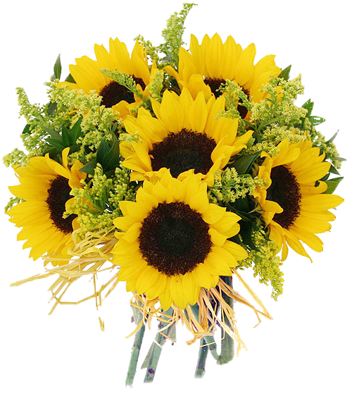 sunflowers